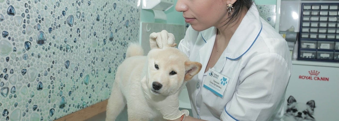 5ca6f7320fd99b62c8529ae7_5ca6f8d47fe28